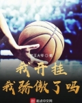 我开挂我骄傲了吗?