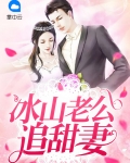 冰山老公追甜妻小说