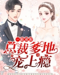 一胎双胞总裁爹地好欢喜