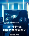 敲个电子木鱼你怎么世界冠军了小说