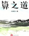 算之道 大米呀