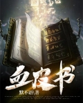 血皮书是什么意思