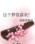 这个梦我喜欢TXT