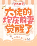 穿书九零大佬的炮灰前妻觉醒了TXT