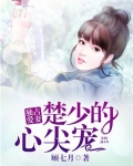 独占冷少宠妻入骨