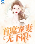 宠妻无下限全文免费阅读