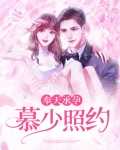 奉天承孕46章
