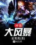 神能大风暴境界划分