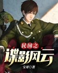民国之谍影风云顶点小说
