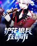 都市护花狂兵 小说