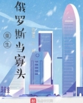 重生俄罗斯当寡头下载