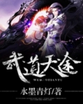 武道天途