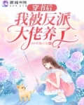 穿书后我被反派大佬养了免费阅读