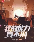 我的能力不止于此