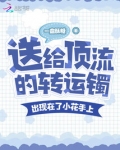 送给顶流的转运镯出现在小花上商晚意傅星怀