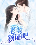 天降萌宝老婆又又又跑了