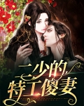 二少的特工傻妻免费阅读