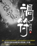 祸符小说