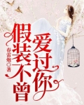 假装不曾爱过你全文免费阅读
