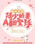 婚从天降:陆少的天价妻