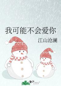 我可能不会爱你小说