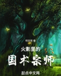 火影里的国术宗师