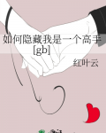 我该如何隐藏