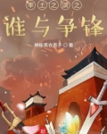 率土之滨之谁与争锋 神秘黑衣男子