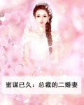 蜜谋已久：总裁的二婚妻