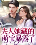 夫人她藏的萌宝暴露了漫画