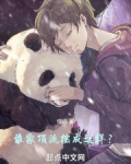 谁家顶流摆成这样？