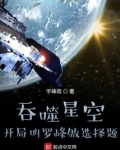 吞噬星空开局叫罗峰做选择题