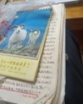 妈妈的日记