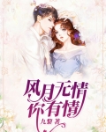风月无情你有情作者风月