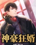 神豪狂婿