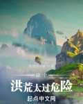 这个洪荒太过危险TXT下载