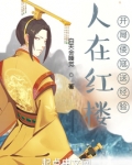 人在红楼开局倭寇送经验笔趣阁