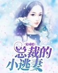 总裁一宠到底小揽竹