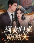 大小姐归来飒翻天3