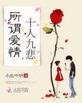 所谓爱情十人九悲小说全文免费阅读