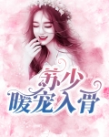 暖婚入骨薄少宠妻请低调