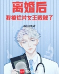 离婚后,我被烂片女王觊觎了起点