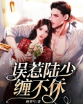 误惹豪门少帅免费阅读