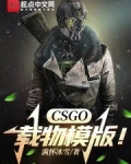 csgo载物个人资料