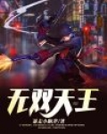 无双天王小说