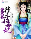 帝君邪魅盛宠小毒医