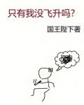 只有我没飞升吗?小说