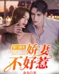 豪门盛宠：娇妻不好惹