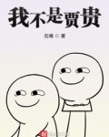我不是贾贵全文免费阅读