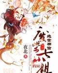 绝世神偷废柴七小姐TXT下载免费